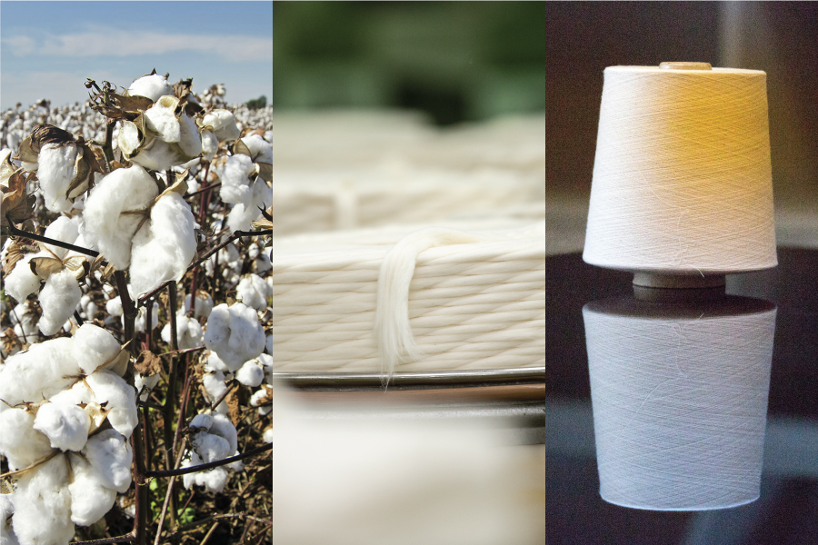 HASSML Cotton Yarn Manufacturing